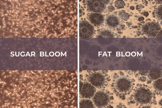 Understanding Chocolate Bloom: It's Not the End of the Chocolate Story